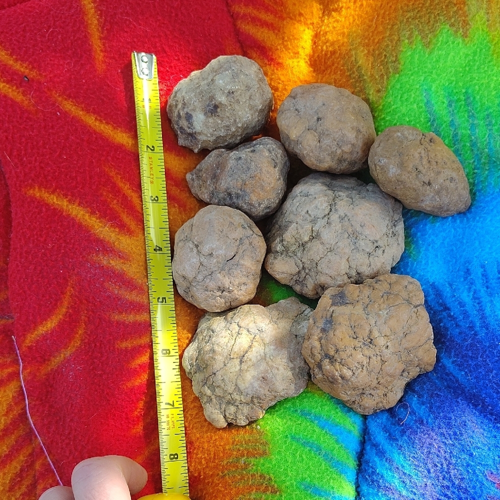 Geodes - Picture 2 of 5